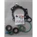 X39-800-300-020Z KOMPLET USZCZELEK POMPY WTRYSKOWEJ CR SIEMENS DW10BTED CITROEN, FORD, PEUGEOT 5WS40163Z, 5WS40019Z, 5WS40380, 5WS40809-Z A2C27100268, A2C59511600,A2C20003791,A2C20000598; PD-5739
